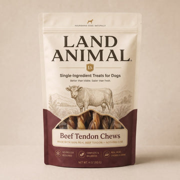 Beef Tendon Chews