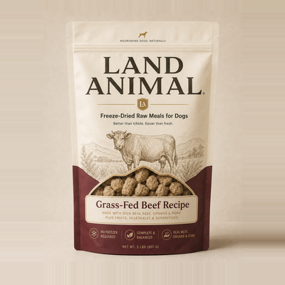 Grass-Fed Beef Recipe