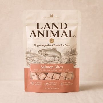 Salmon Bites for Cats