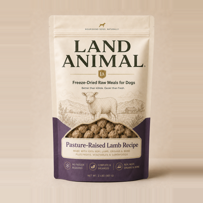 Lamb Recipe