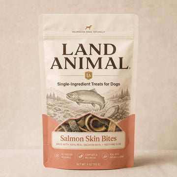 Salmon Skin Bites