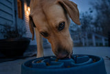 A big yellow Labrador eating from a maze slow-feeder bowl on a porch at blue hour, eyes intent and focused