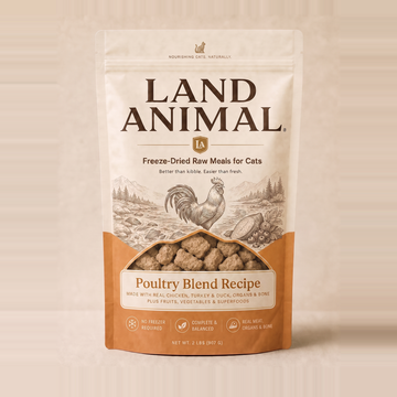 Poultry Blend Recipe for Cats