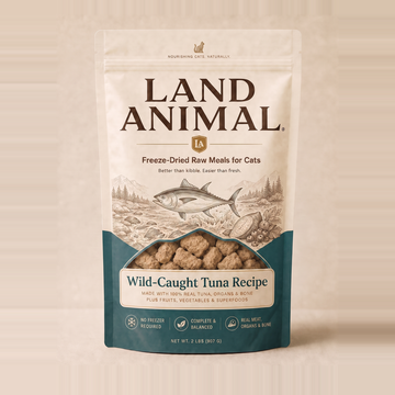 Wild-Caught Tuna Recipe for Cats