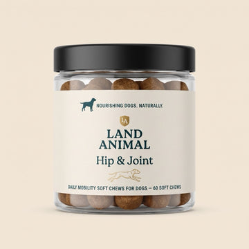 Hip & Joint