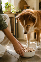 la-values-dogsfirst-feed.webp